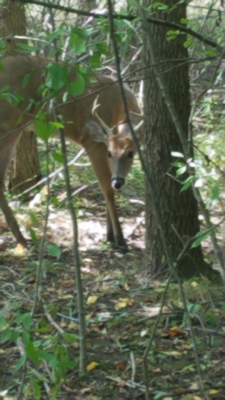 20180914_145853.jpg