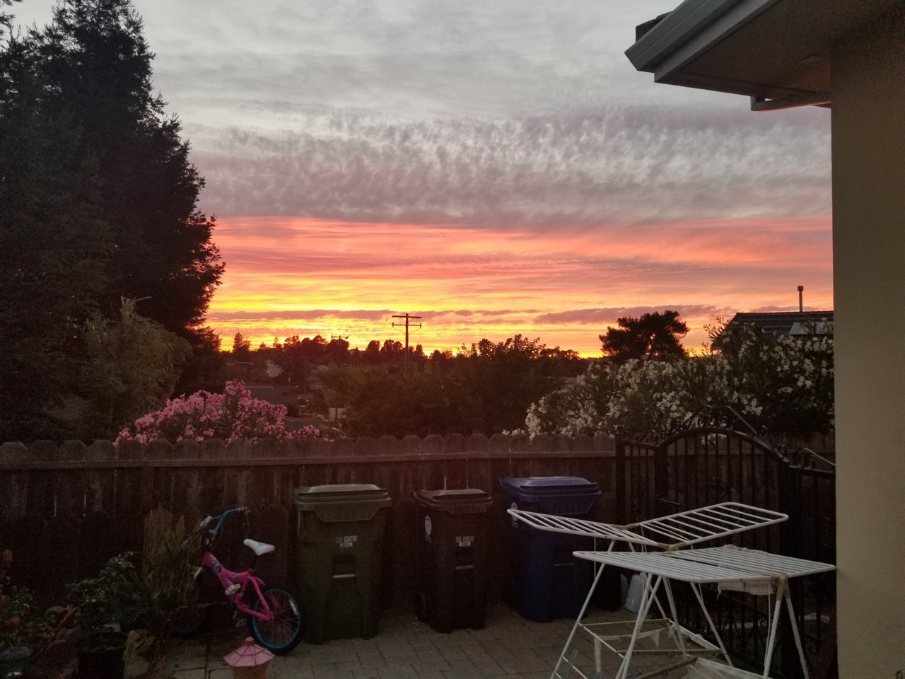20180914_192820.jpg