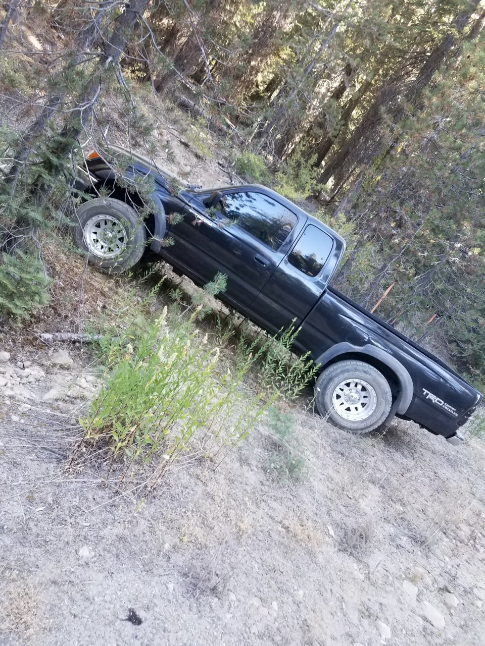 20180915_083432.jpg