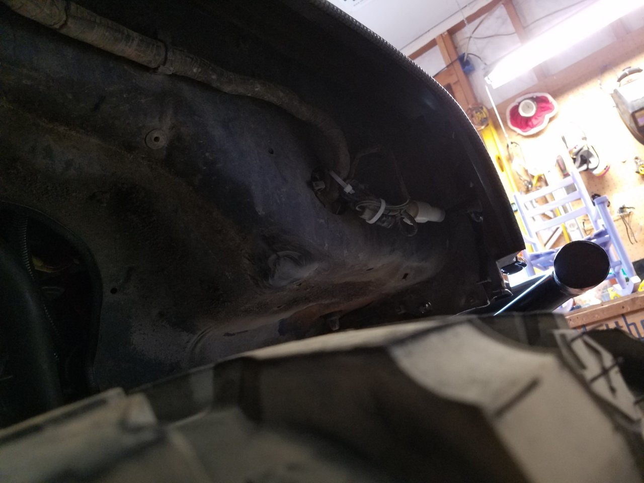 20180915_102502.jpg