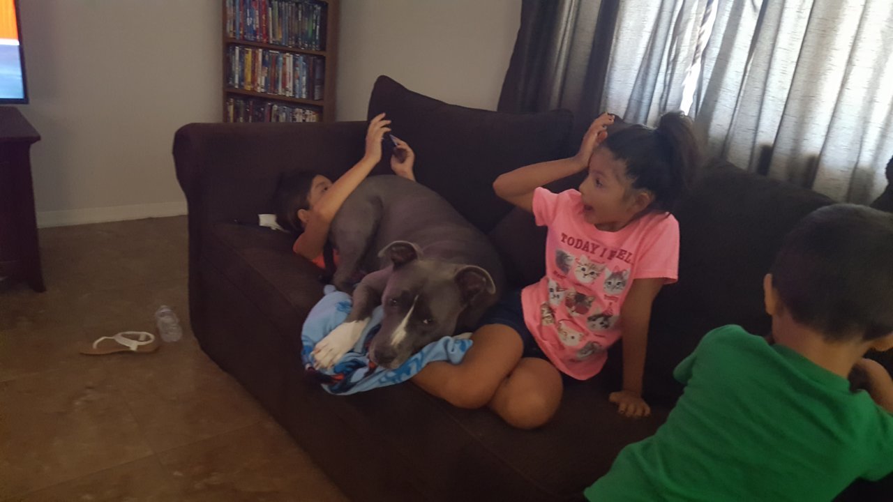 20180915_112631.jpg