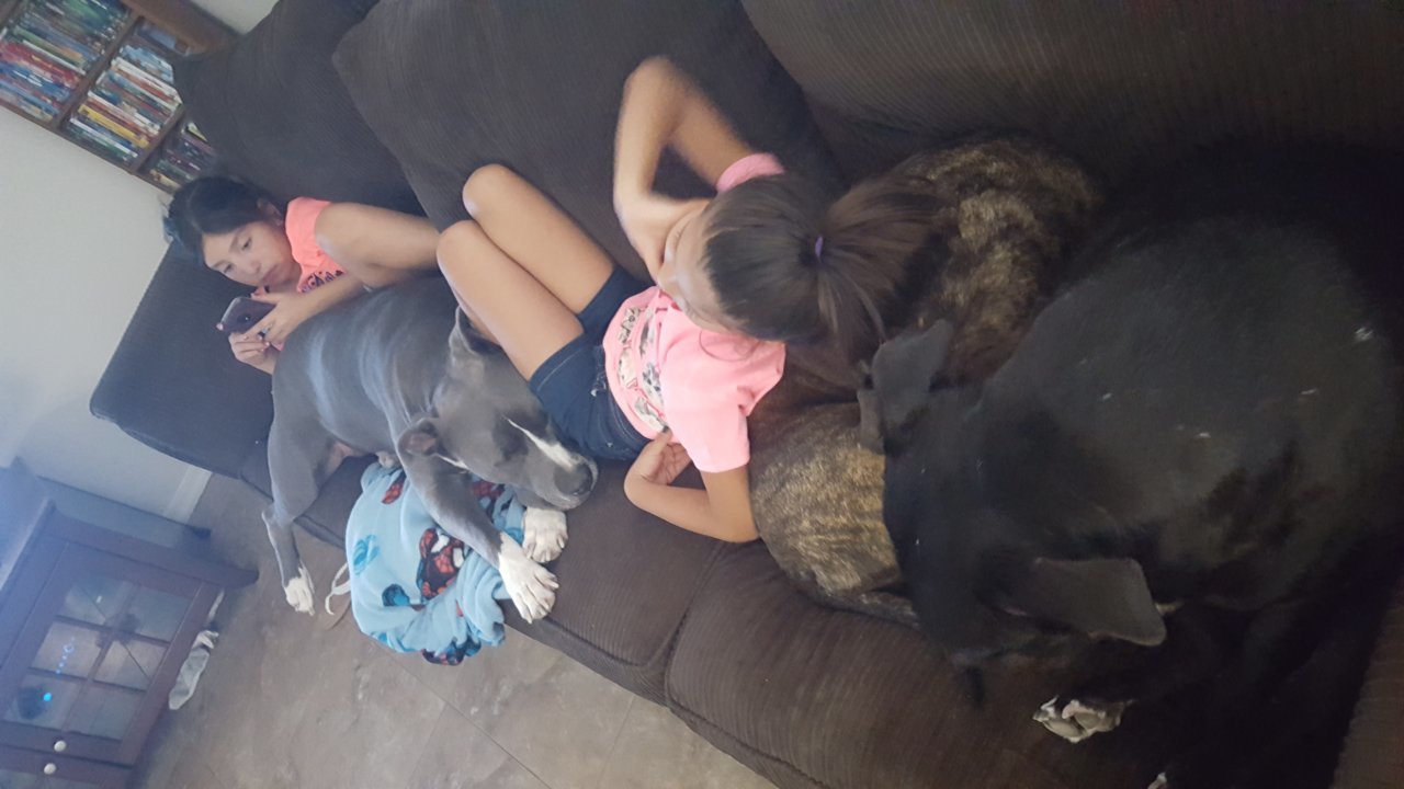 20180915_115756.jpg