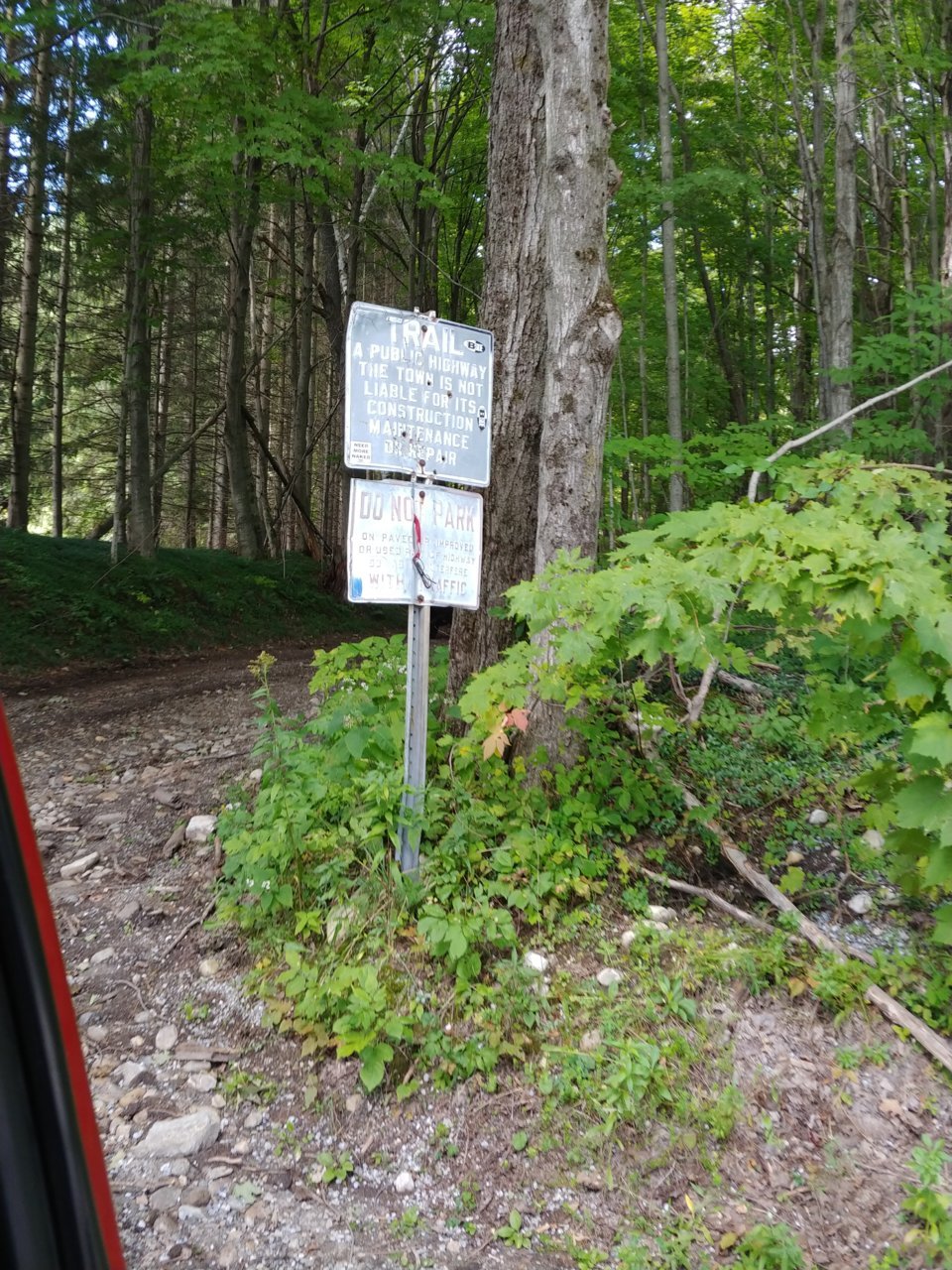 20180915_123339.jpg
