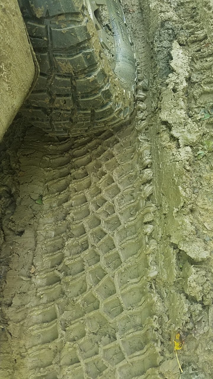 20180915_130354.jpg