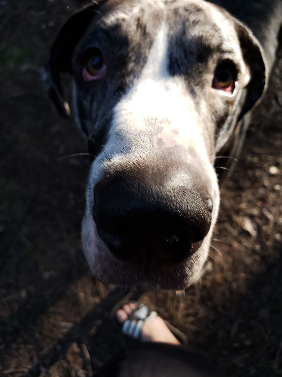 20180916_074245.jpg