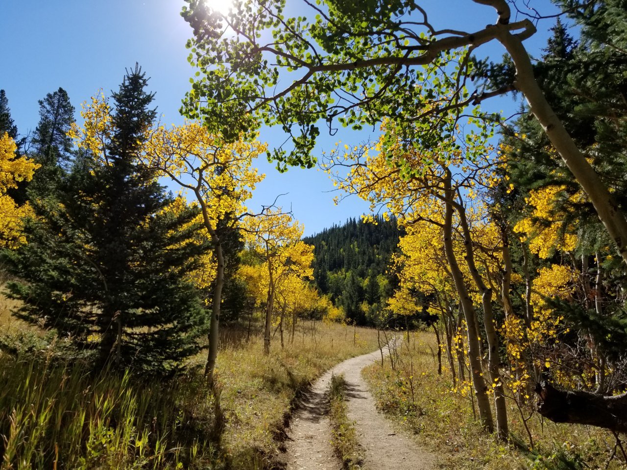 20180916_101828.jpg