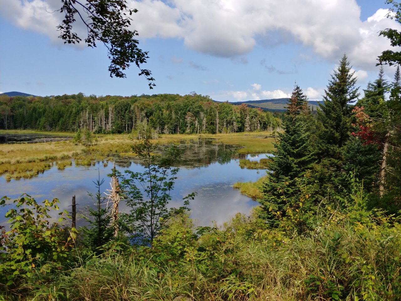 20180916_113155_HDR.jpg