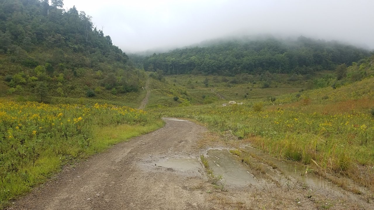 20180916_124842.jpg