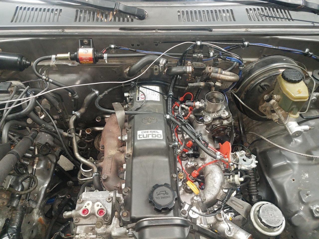 20180916_152652.jpg