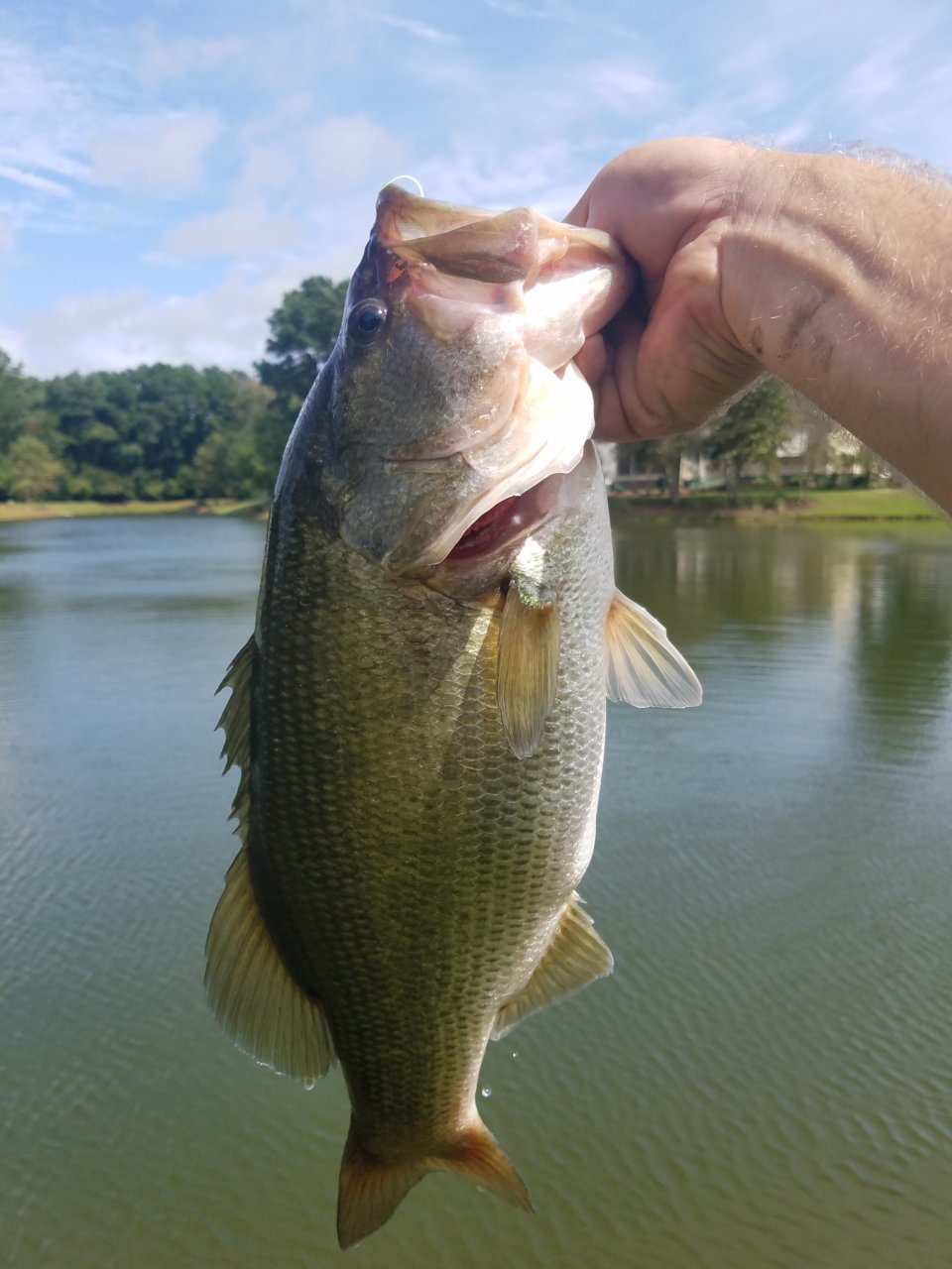 20180917_120951.jpg