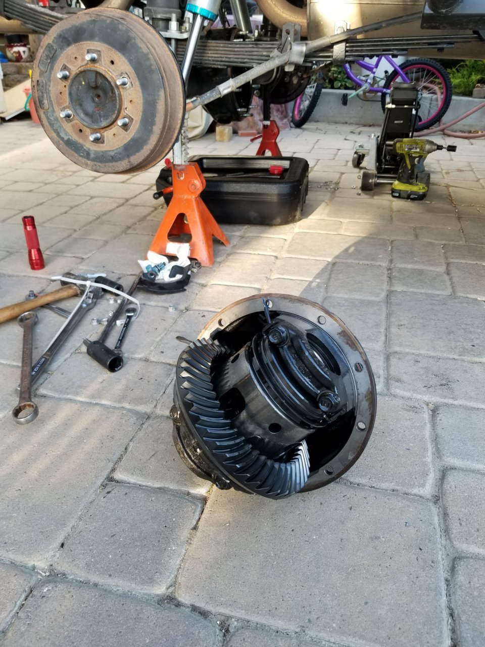 20180917_180655.jpg