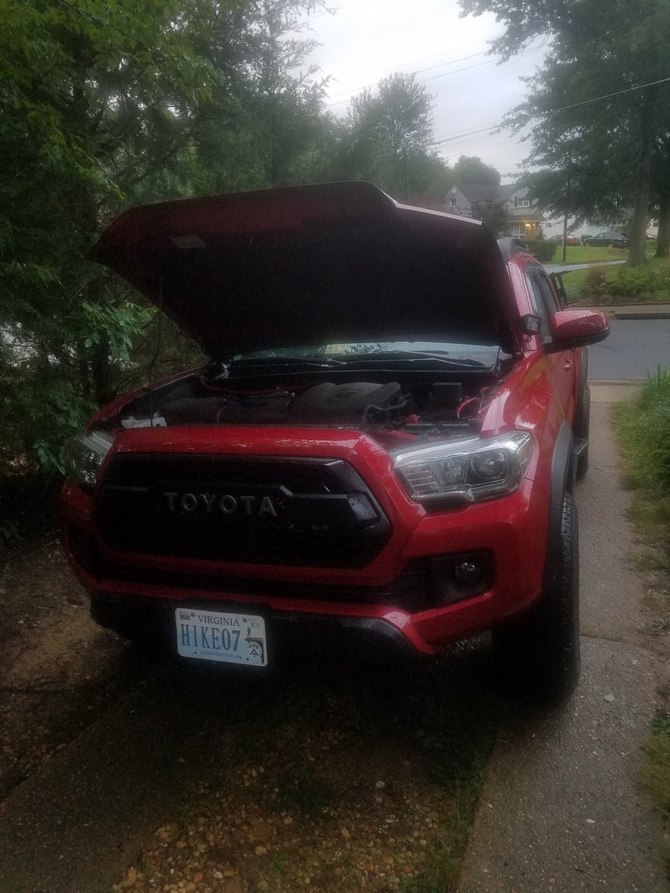 20180917_190720.jpg