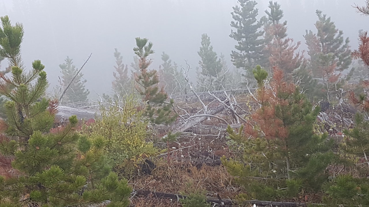 20180918_091541.jpg