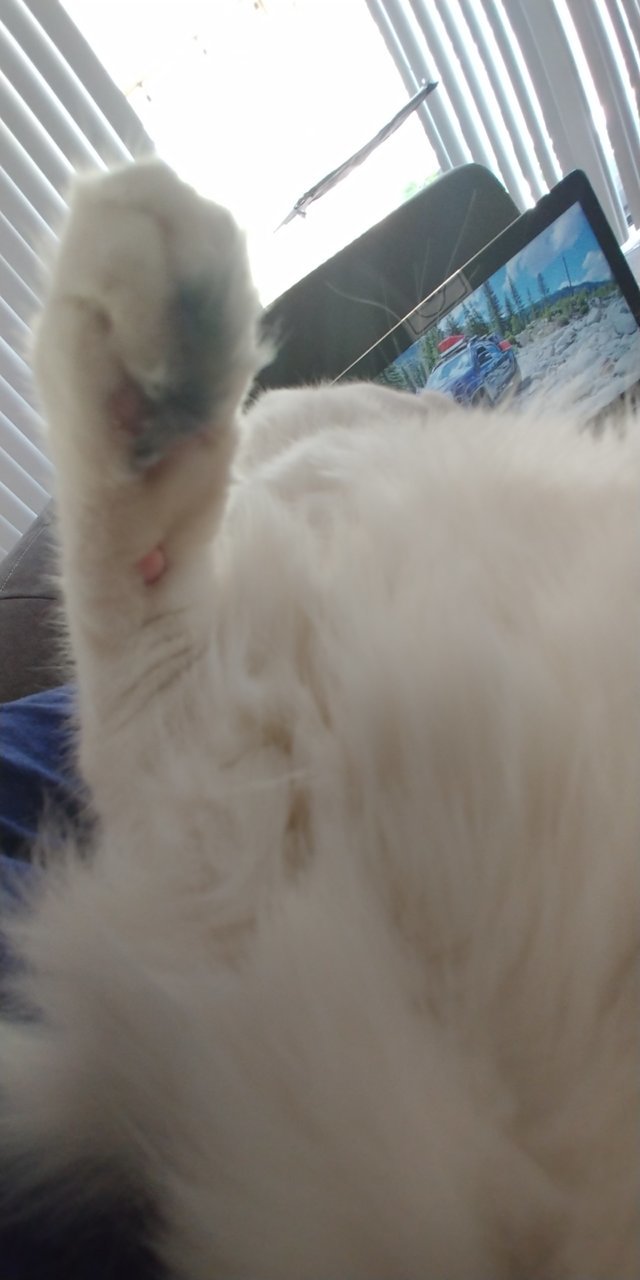 20180918_132747.jpg