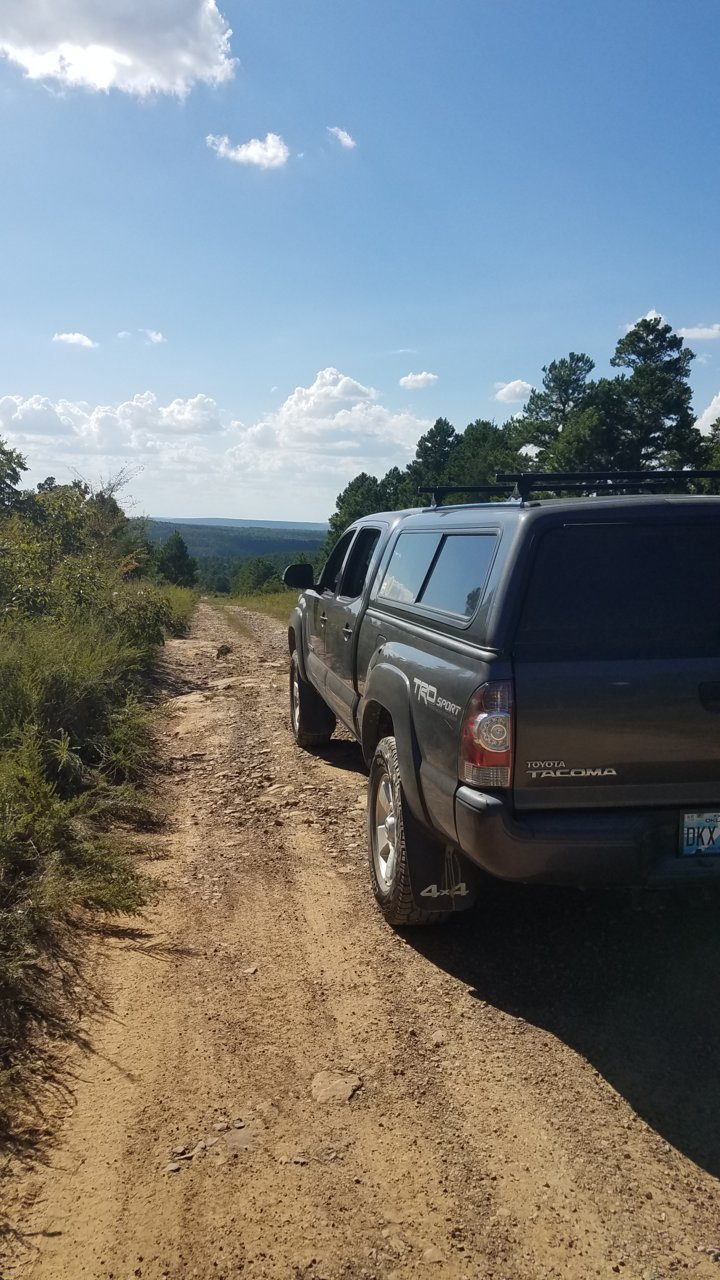 20180918_155856.jpg