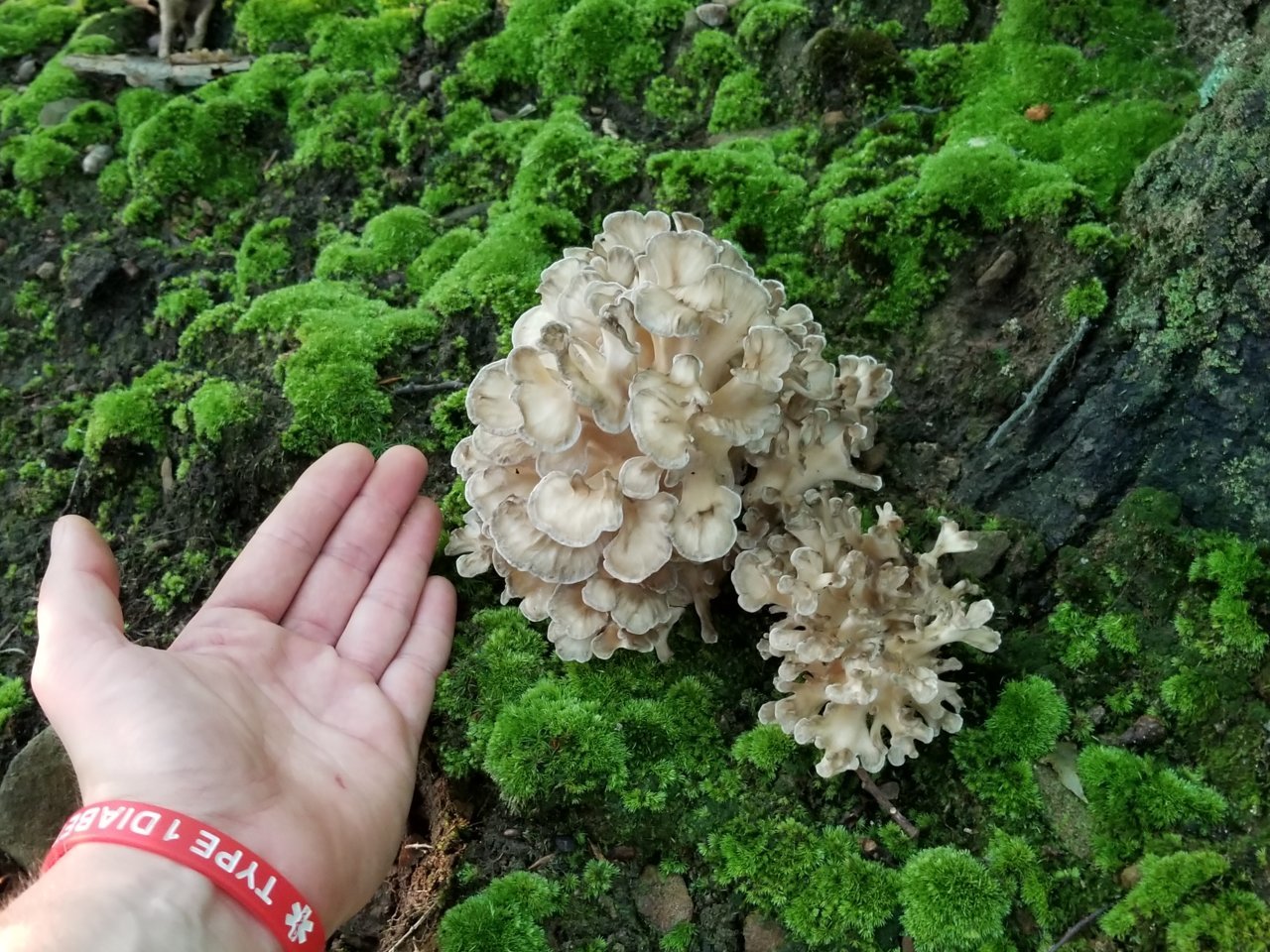 20180918_182208.jpg