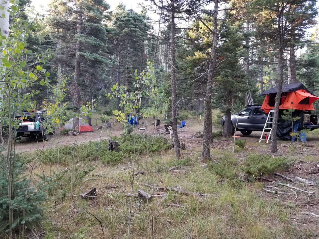 20180919_072046.jpg