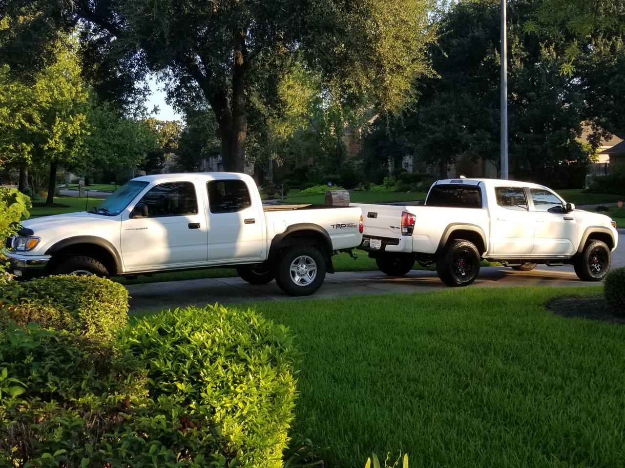 20180919_075456.jpg
