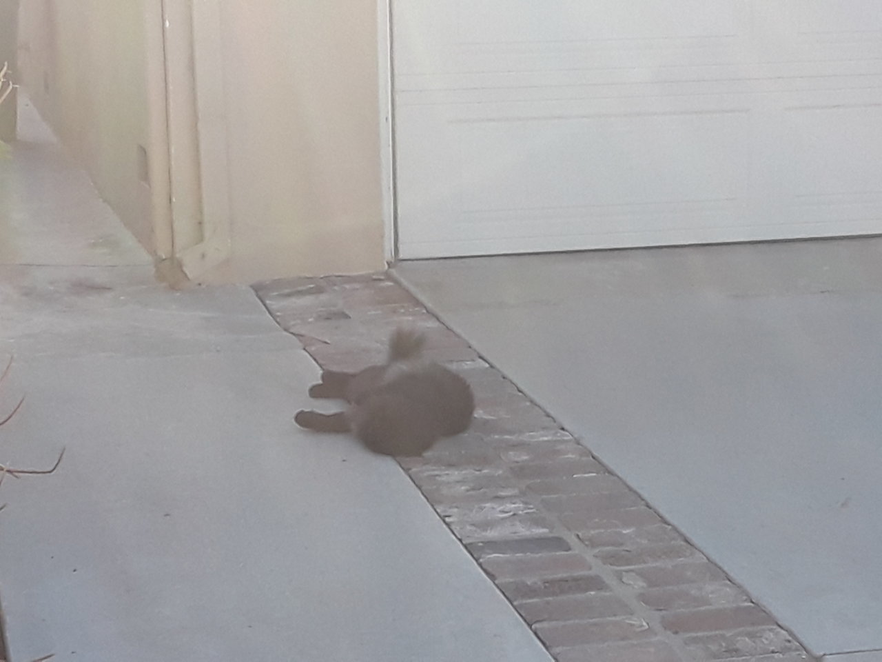 20180919_084309.jpg