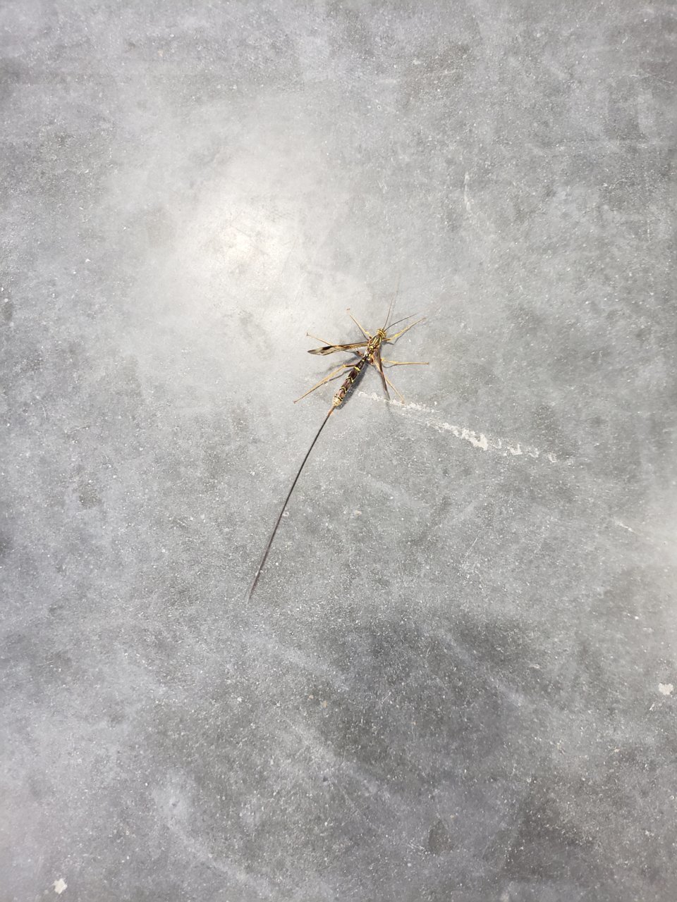 20180919_105438.jpg