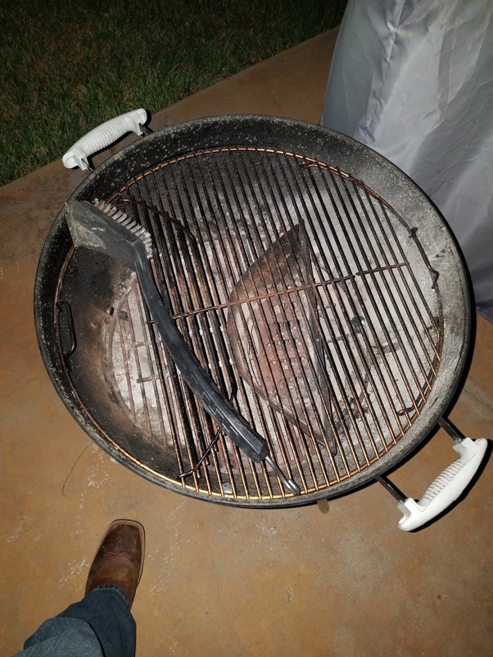 20180919_201131.jpg