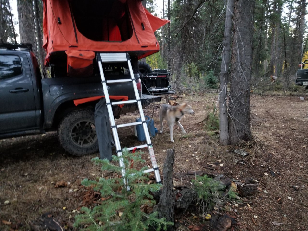20180920_065535.jpg