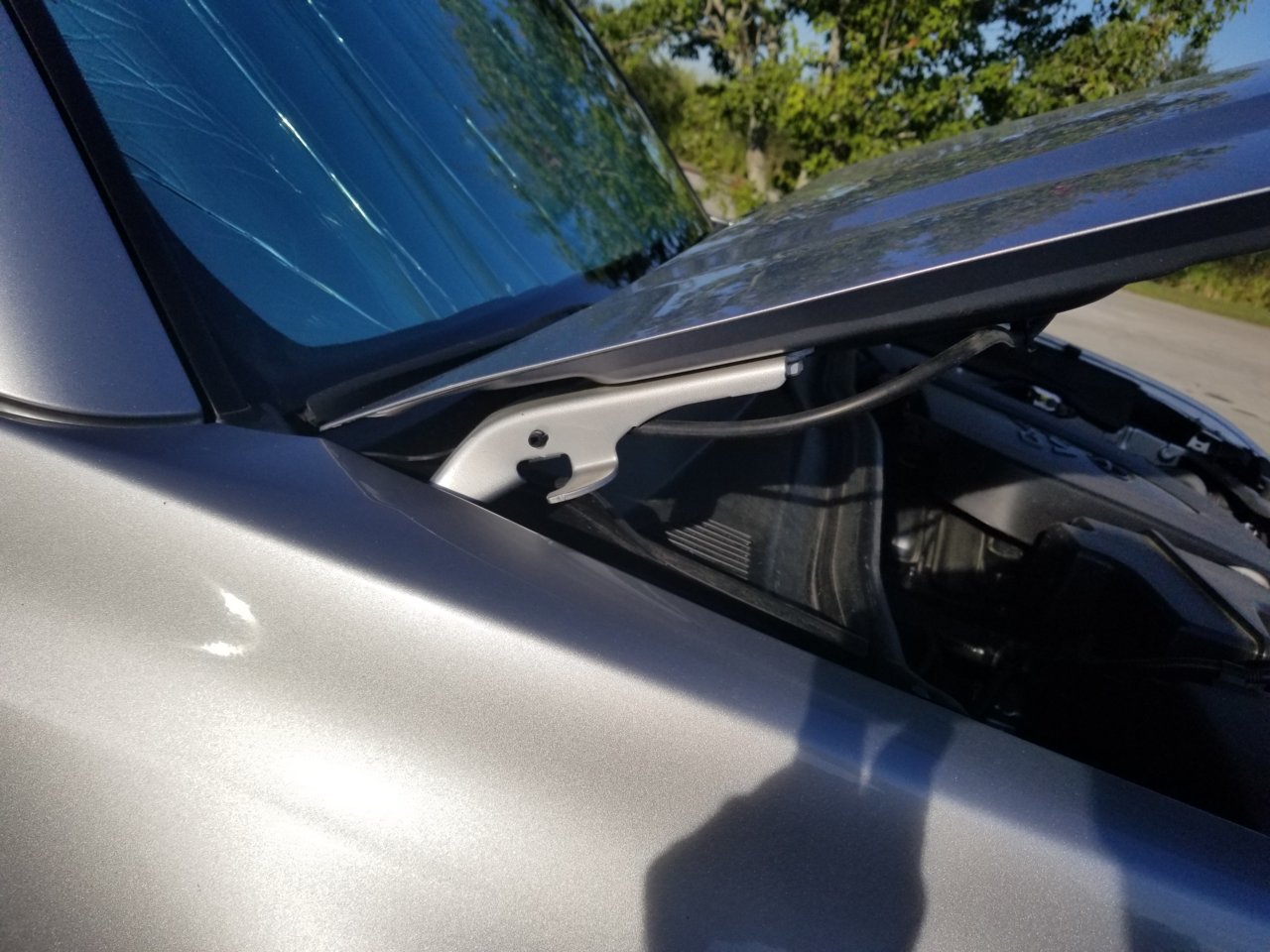 20180920_085323.jpg
