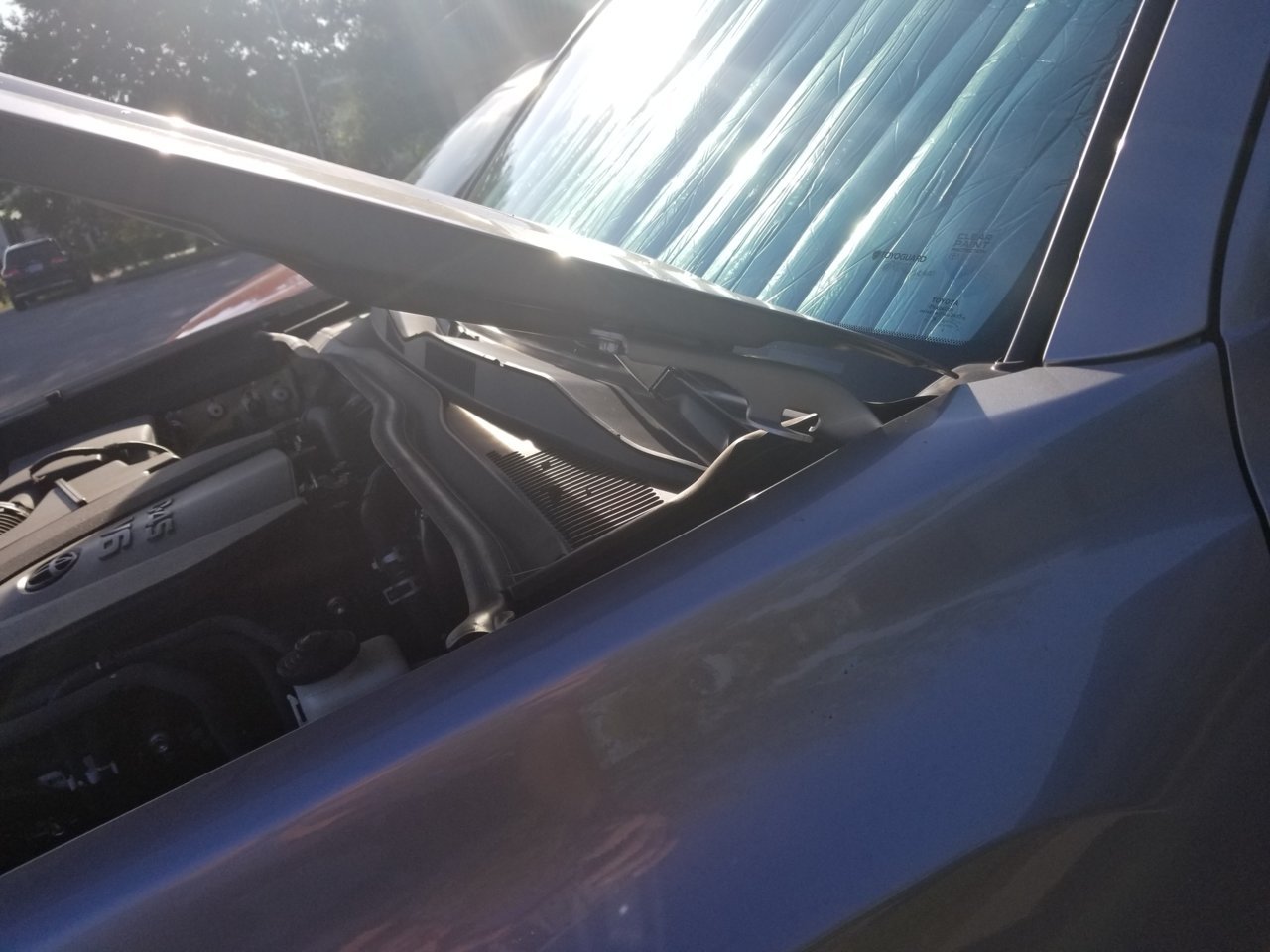 20180920_085330.jpg