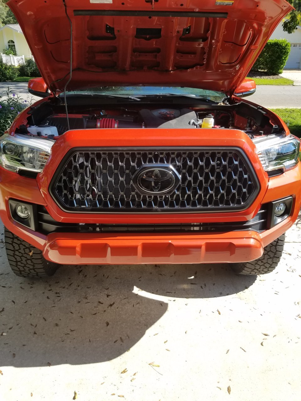 20180920_102624.jpg
