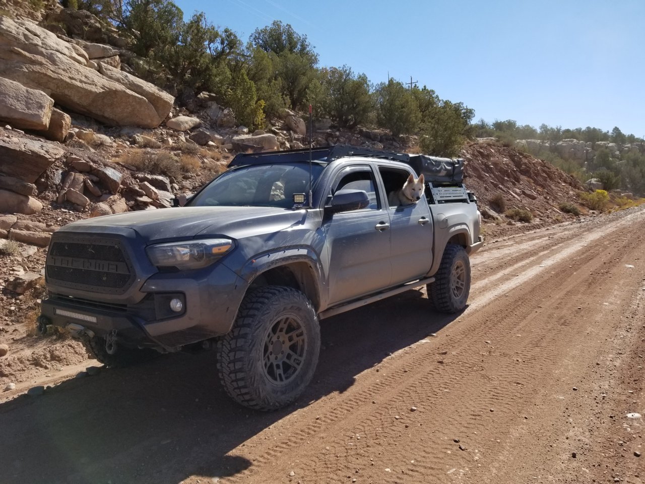 20180920_103458.jpg