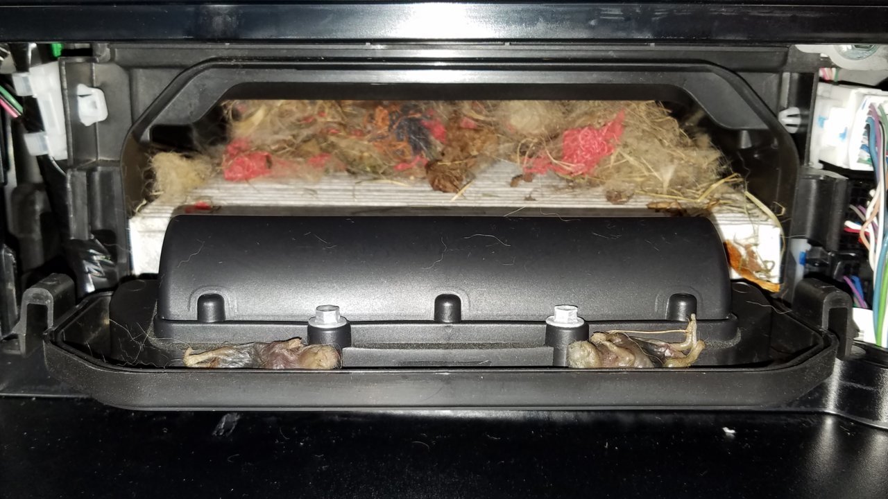 20180920_104404.jpg