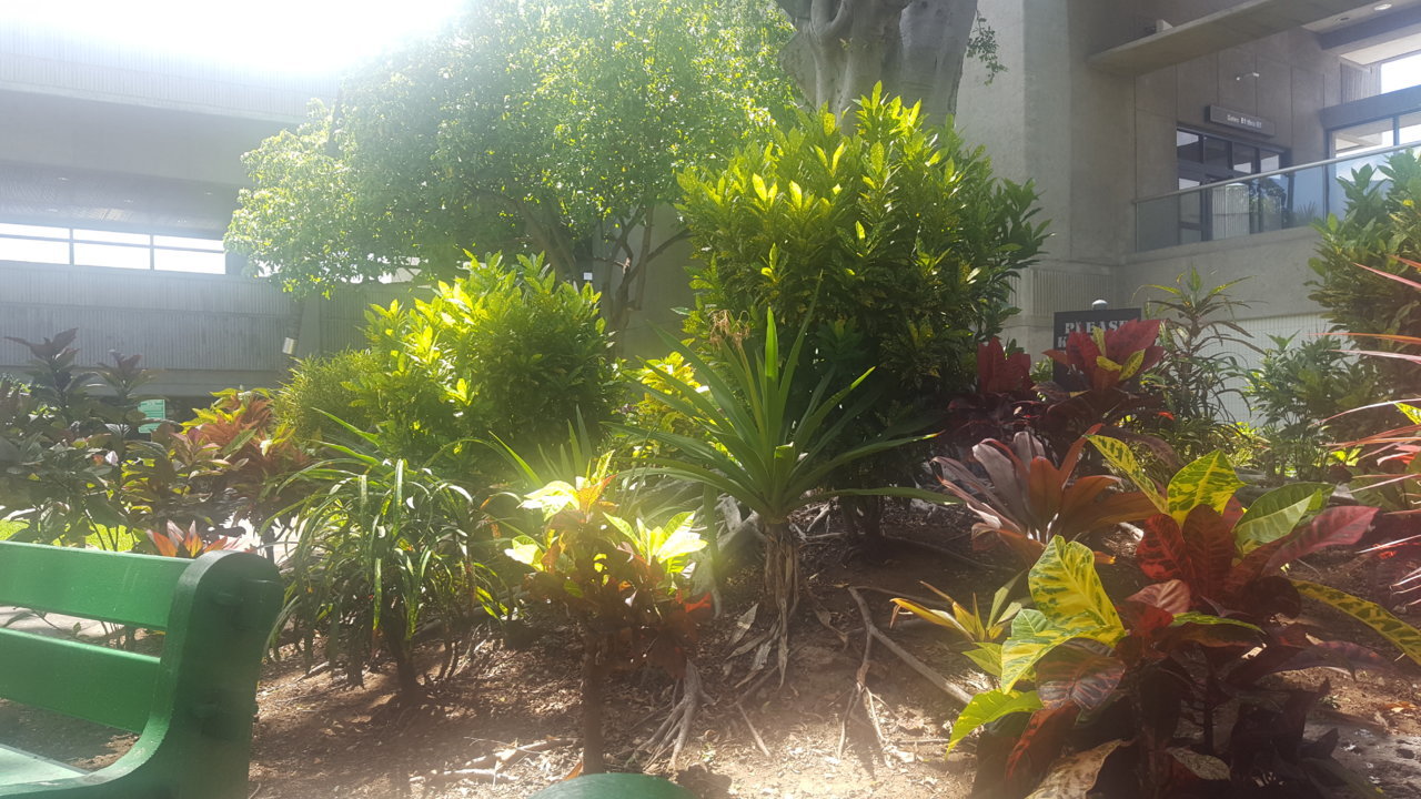 20180921_124017.jpg