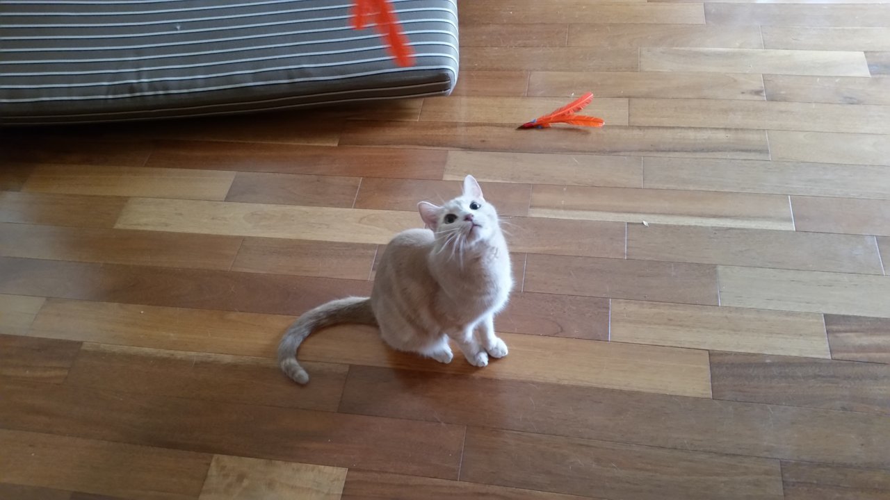 20180922_092749.jpg