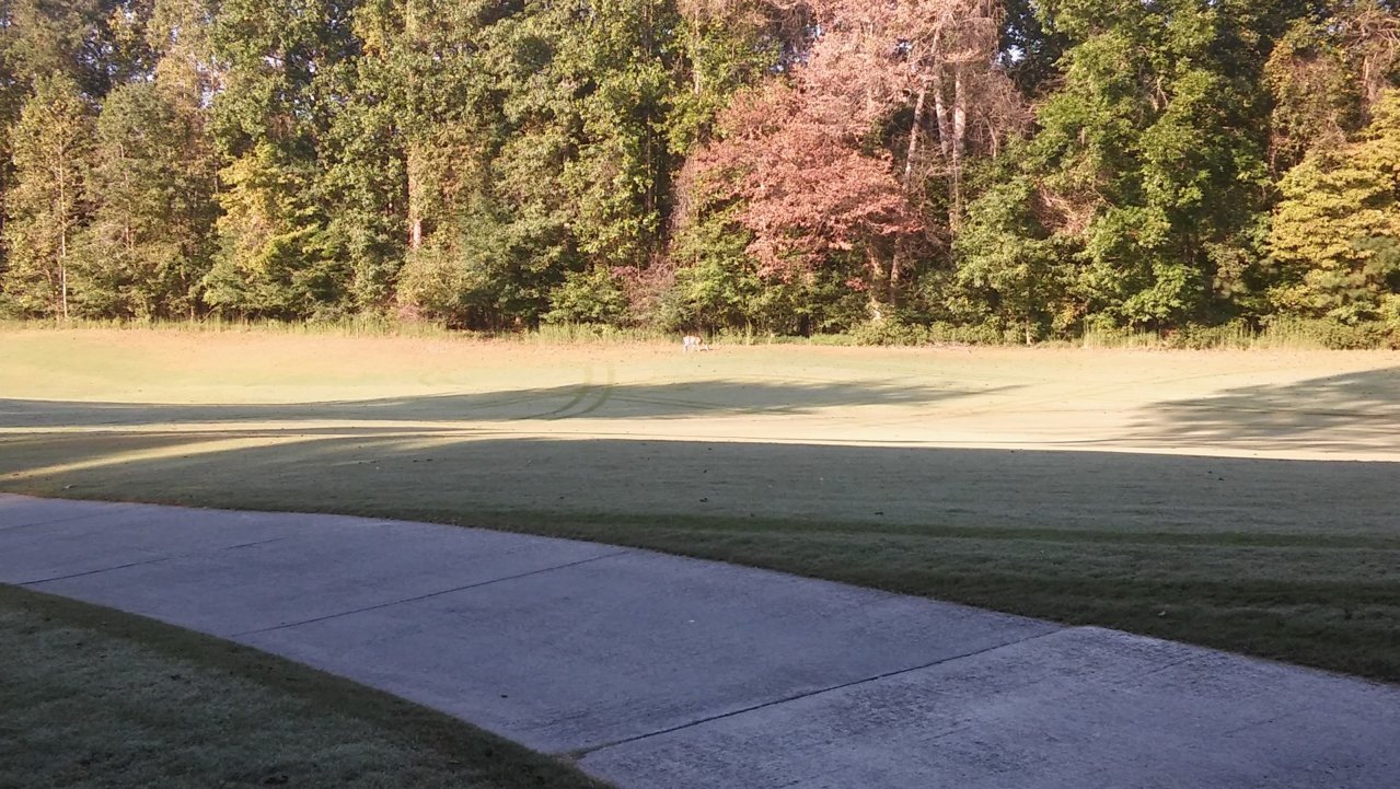 20180922_093942.jpg