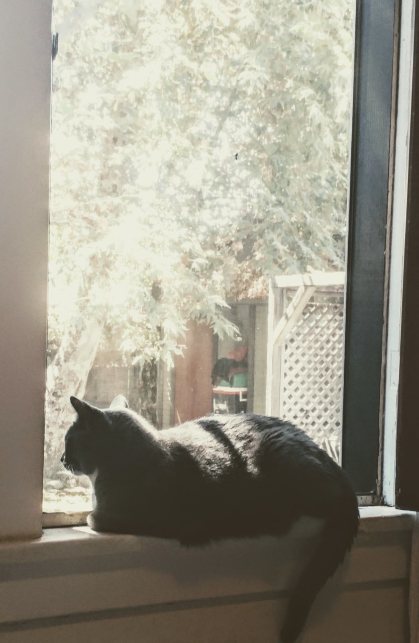 20180922_120802~2.jpg