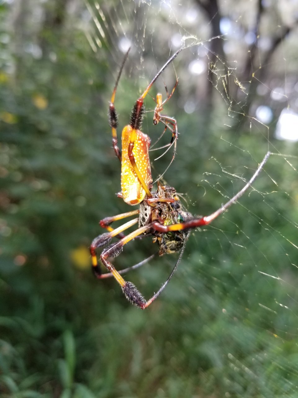 20180922_131328.jpg