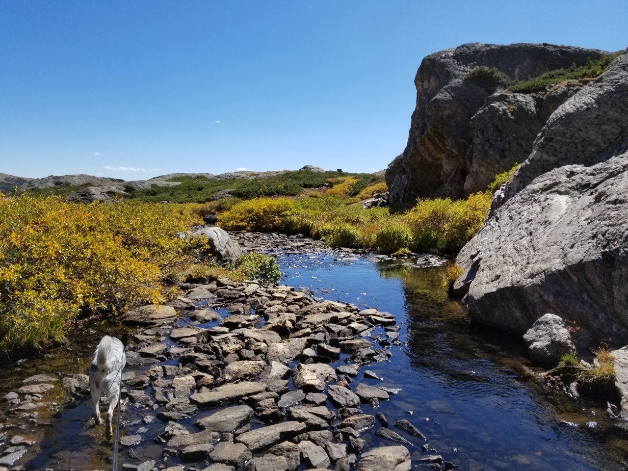 20180922_133055.jpg