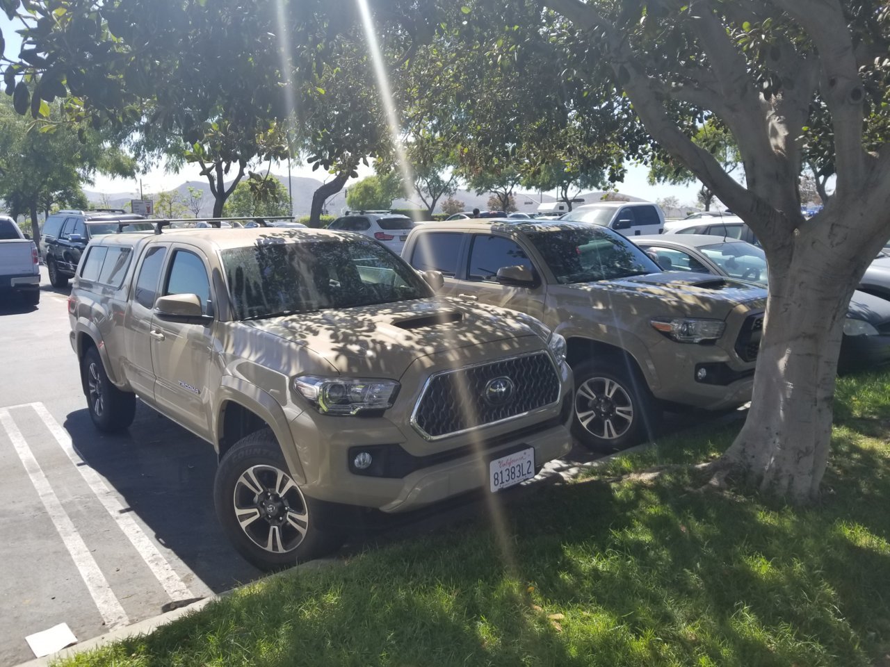 20180922_140017.jpg