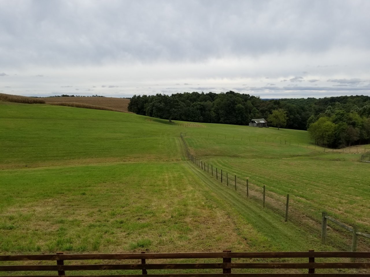 20180922_142509.jpg