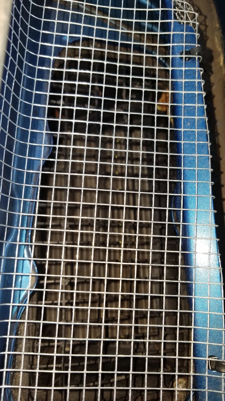 20180922_142934.jpg