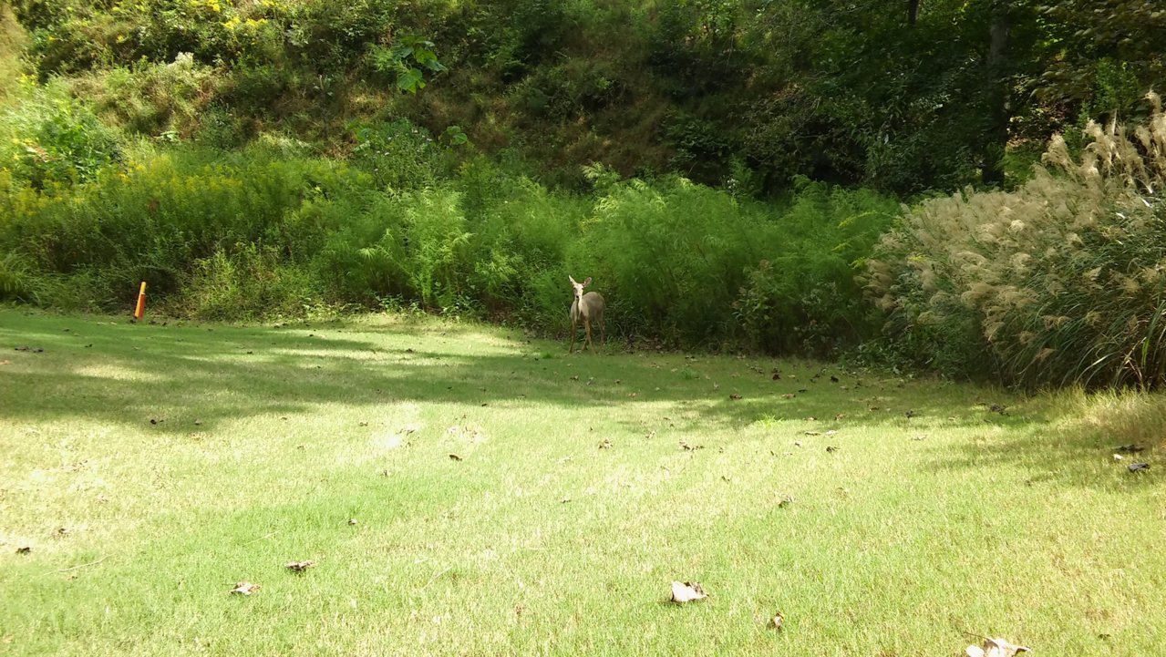 20180922_143641.jpg