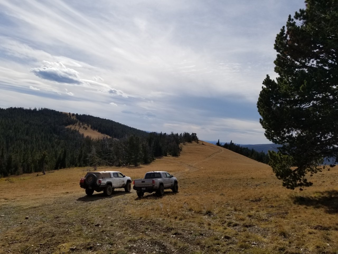 20180922_152026.jpg