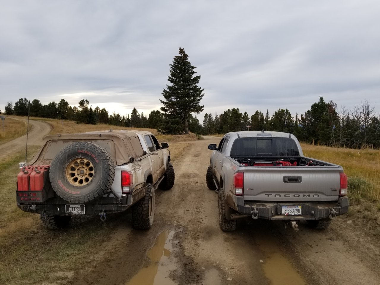 20180922_164248.jpg