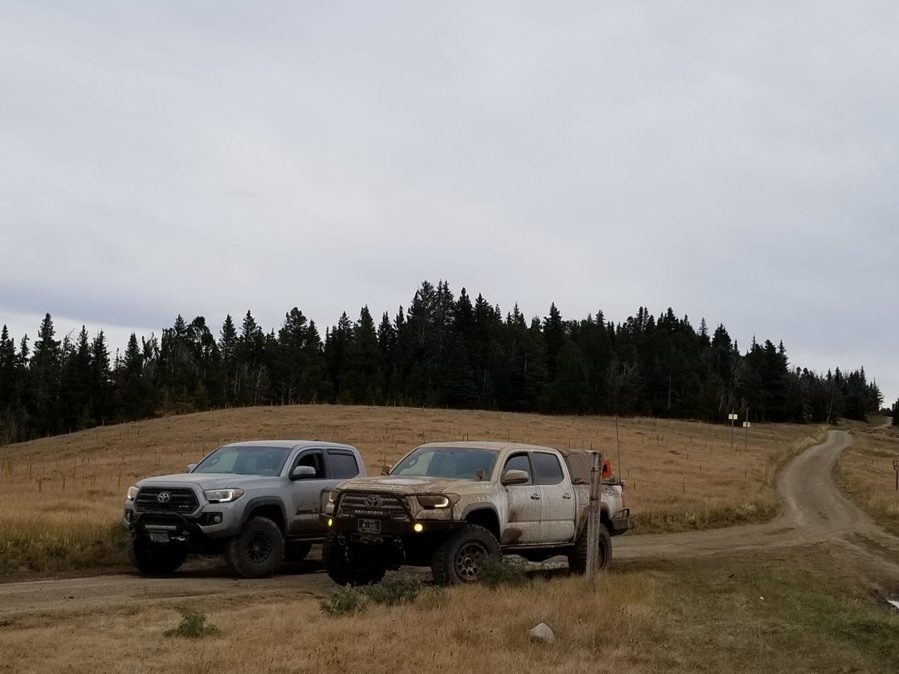 20180922_164445.jpg
