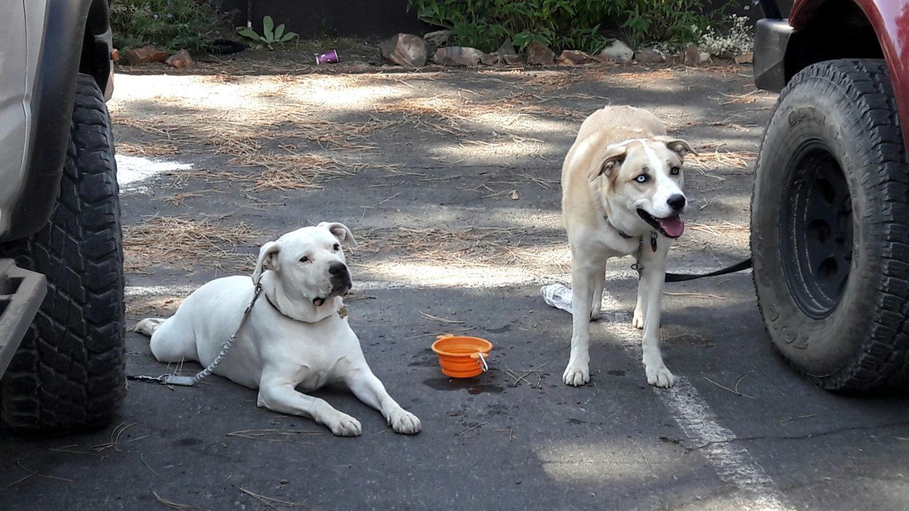 20180922_234141.jpg