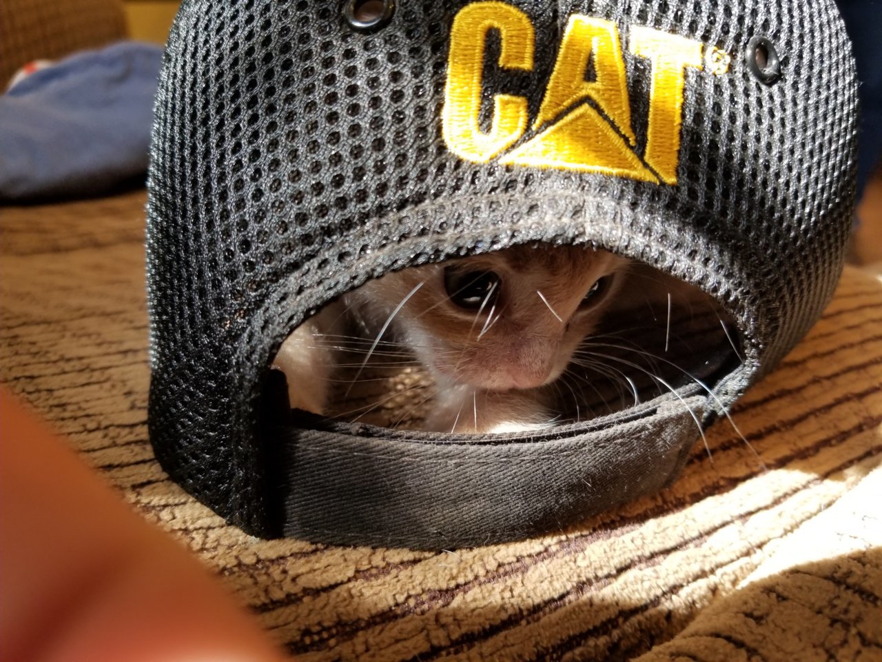 20180923_103518.jpg