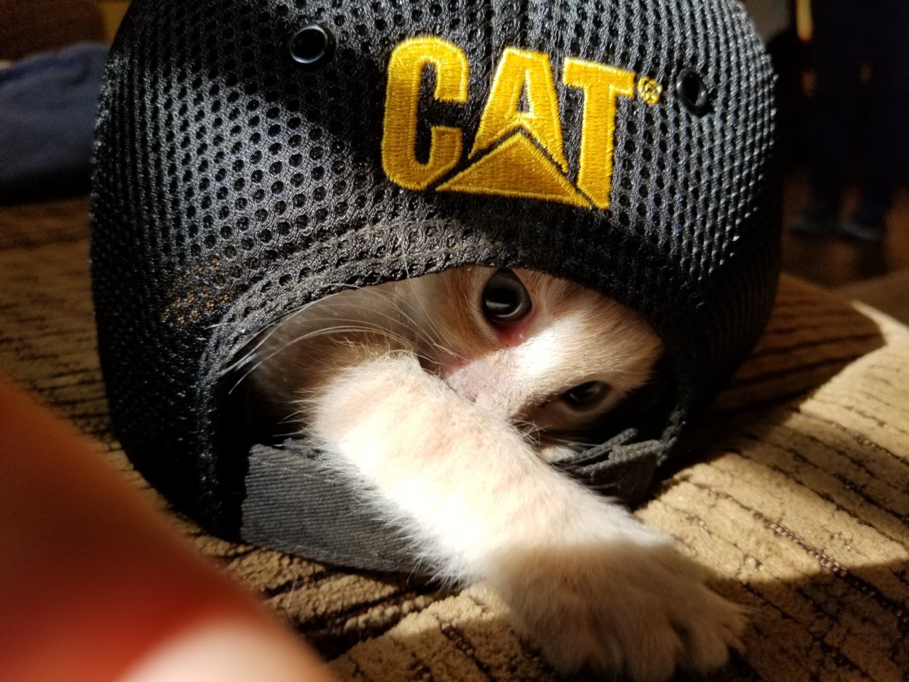 20180923_103521.jpg