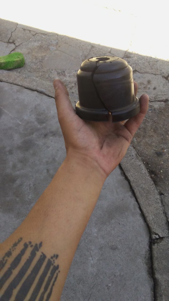 20180923_104645.jpg