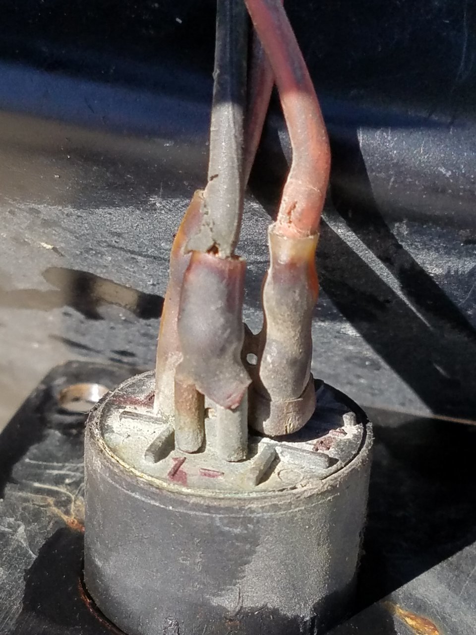 20180923_113607.jpg