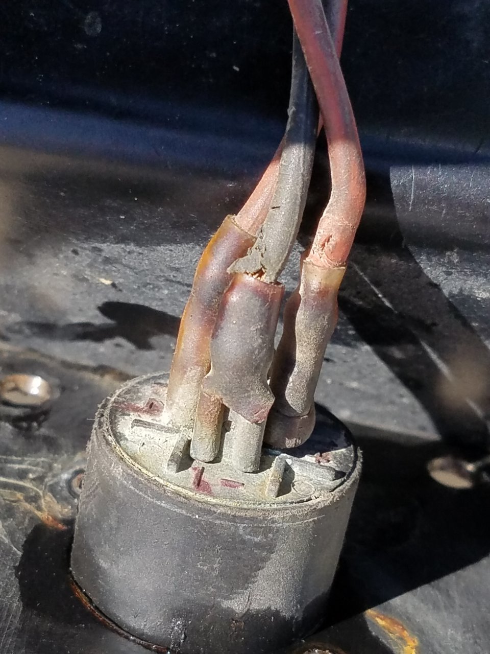 20180923_113616.jpg
